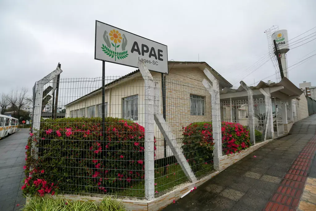 APAE de Lages recebe piano adaptado para neurodivergentes em projeto de inclusão e musicoterapia