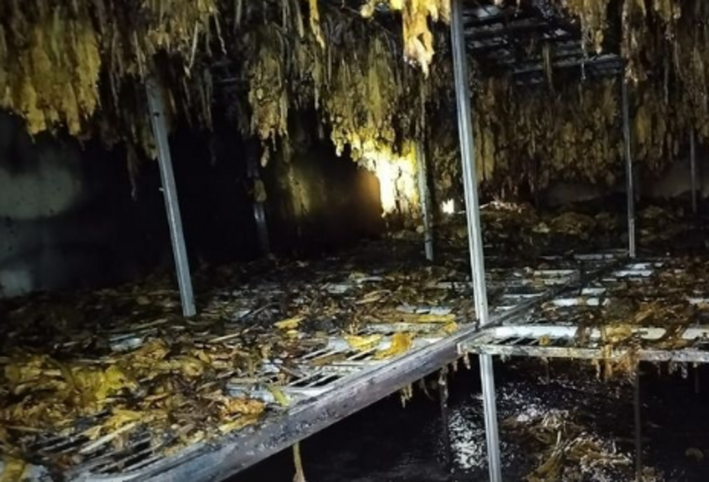 Foto: Bombeiros Voluntários de Paraíso do Sul (Divulgação) - 