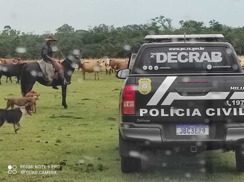 Uruguaiana registra aumento de abigeato em outubro, contrariando a tendência estadual de queda