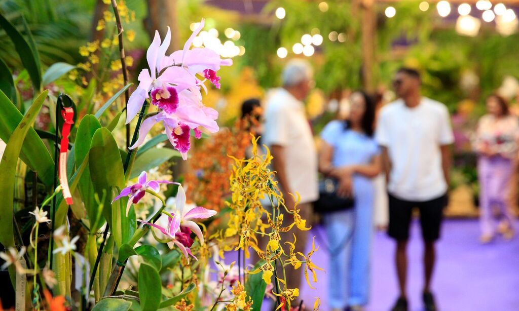 Joinville abre a 84ª Festa das Flores e celebra a tradição cultural e o título de “Cidade das Flores”