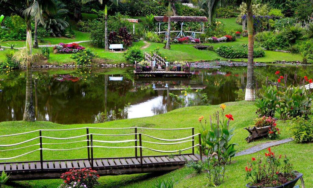 Concurso de Jardins premia os mais belos espaços verdes