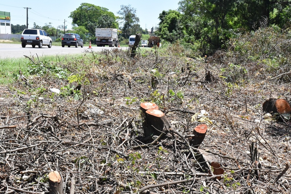 Fotos Deni Zolin - Árvores começaram a ser cortadas perto da Estância do Minuano, onde serão construídas as novas pistas