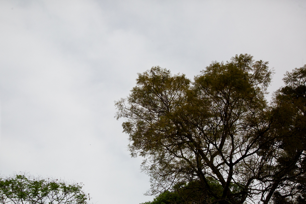 Semana inicia com chance de chuva e queda nas temperaturas em Santa Maria