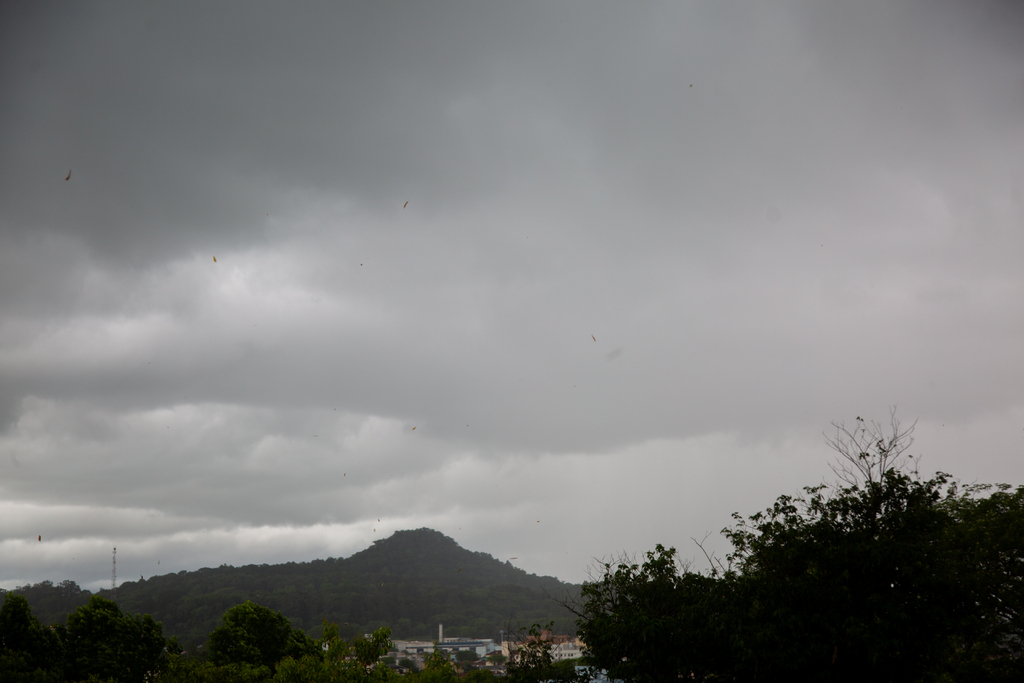 Terça inicia com chuva e temperaturas podem cair; condição segue na quarta