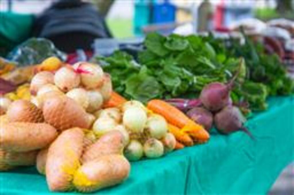 título imagem Feiras do produtor ocorrem em diferentes regiões de Santa Maria nesta semana; veja a programação