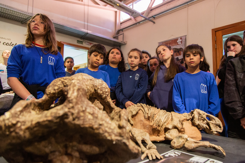 Um ano depois, o que representa o selo da Unesco para o geoparque Quarta Colônia