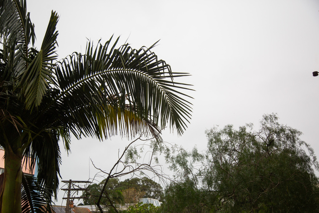 Após chuva expressiva no domingo, segunda terá tempo firme na região; confira a previsão para os próximos dias