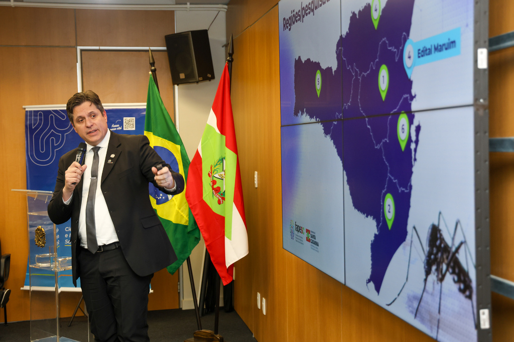 Imagem galeria