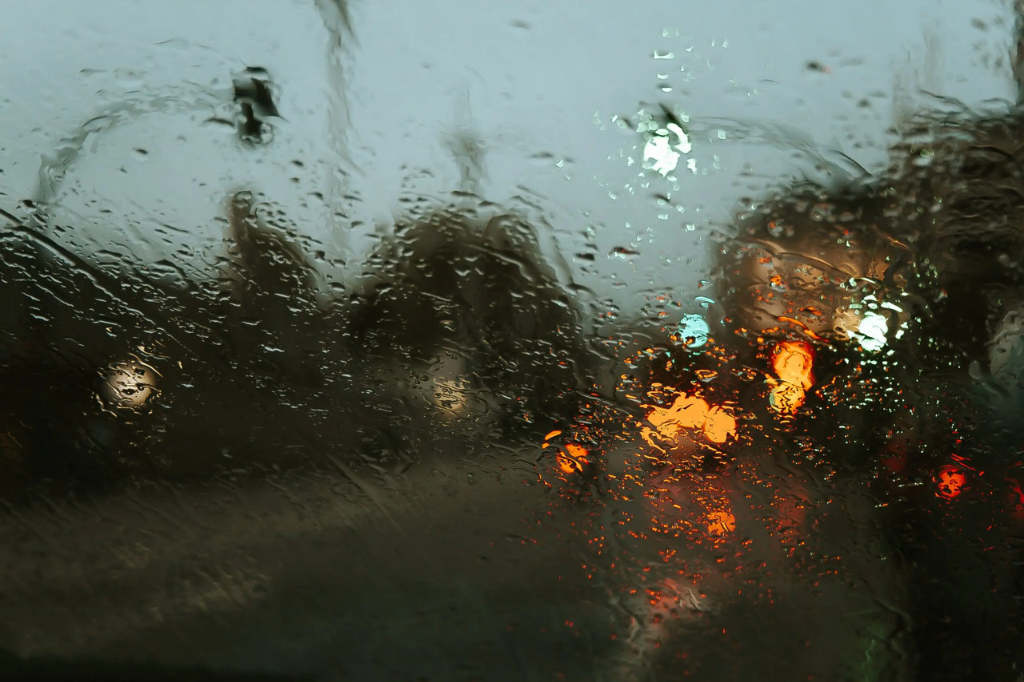 Imagem Ave Calvar Martinez - Previsão do Tempo: chuva retorna ainda nesta sexta-feira (13)