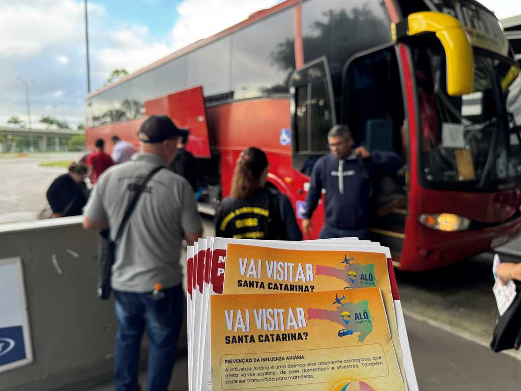 divulgação - 