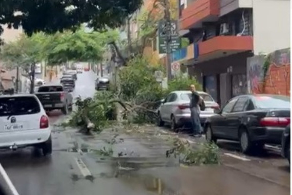 Galho de árvore cai e interfere no trânsito no centro de Santa Maria