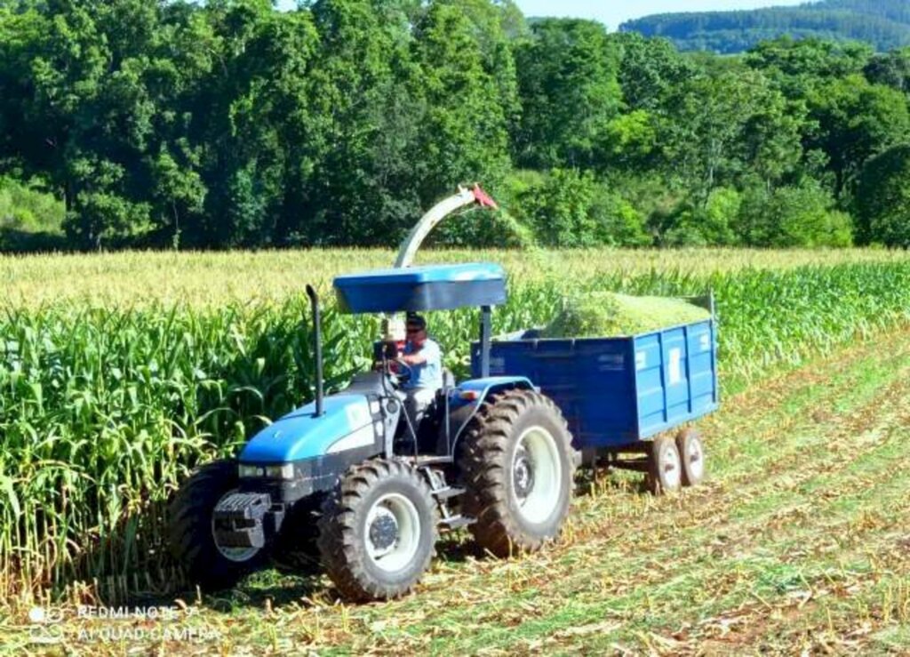 Programa de incentivo à produção de silagem