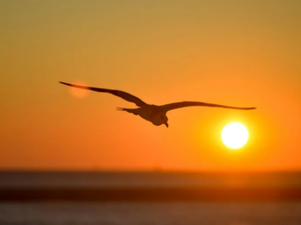 Santa Catarina com predomínio do sol em quase todas as regiões