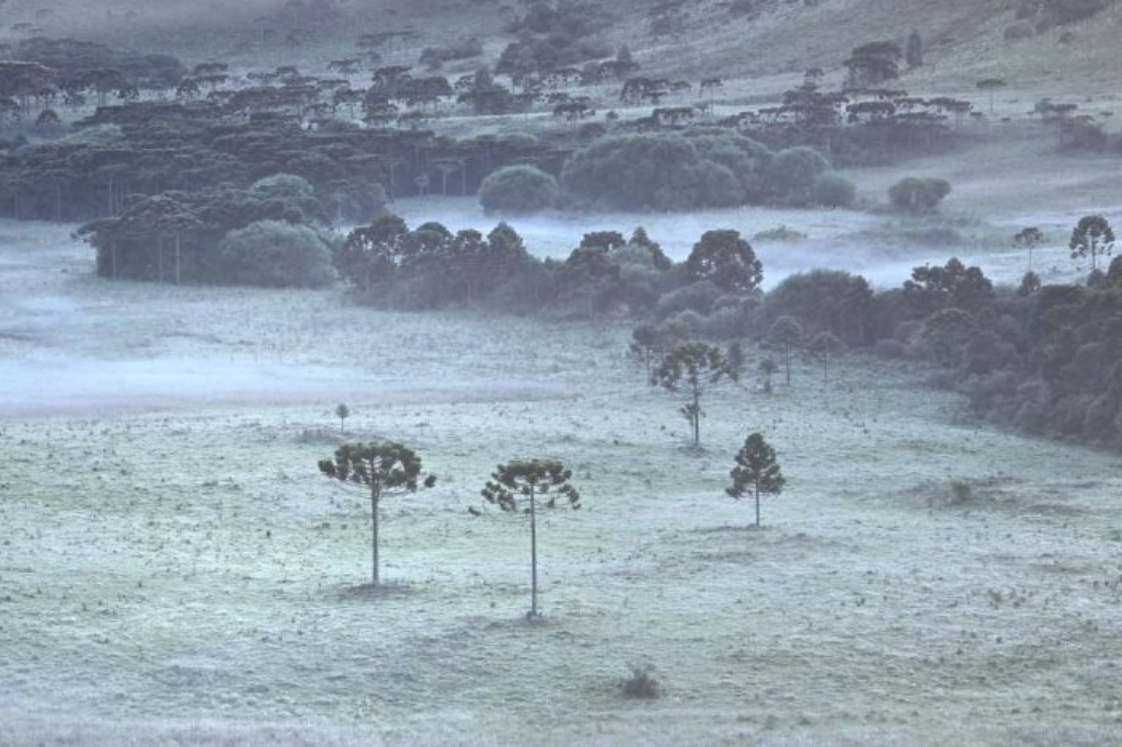 Geada surpreende moradores na Serra catarinense com mínimas de 3°C em pleno verão