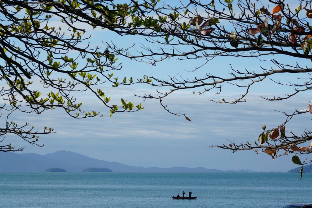 Último dia do ano de 2024 tem instabilidades e risco de temporais em Santa Catarina