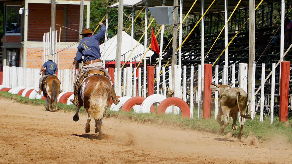 Lançamento do 30° Rodeio Internacional do Conesul ocorrerá na próxima quinta-feira