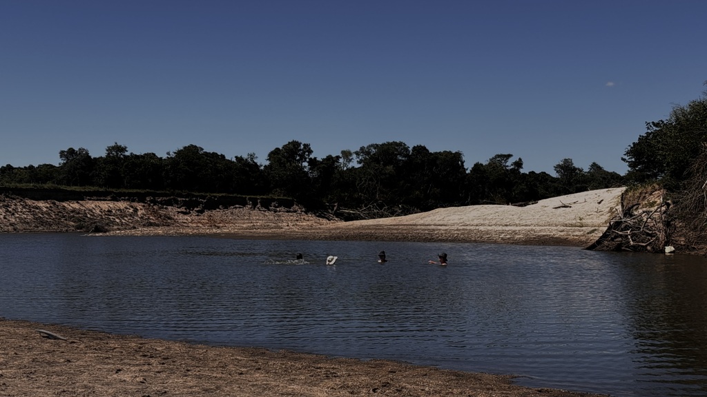 Galeria de imagens: 