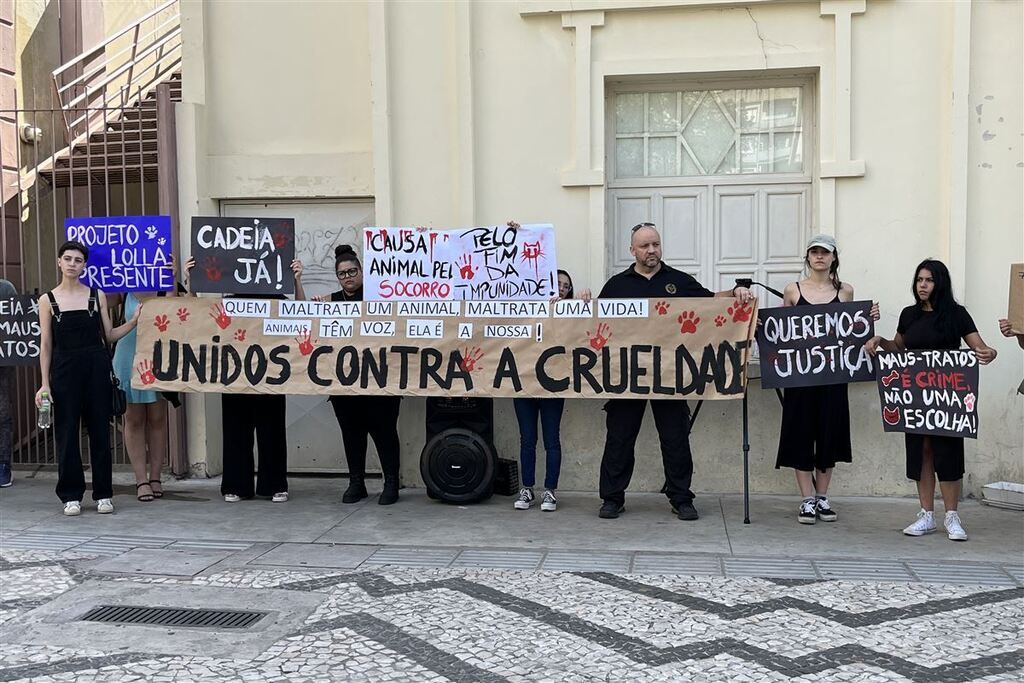 Defensores de animais protestam contra castração de gatos com faca no interior de Santa Maria