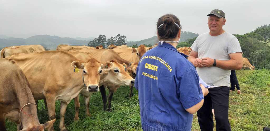 Foco de febre aftosa na Alemanha serve de alerta para necessidade de manter cuidados sanitários constantes