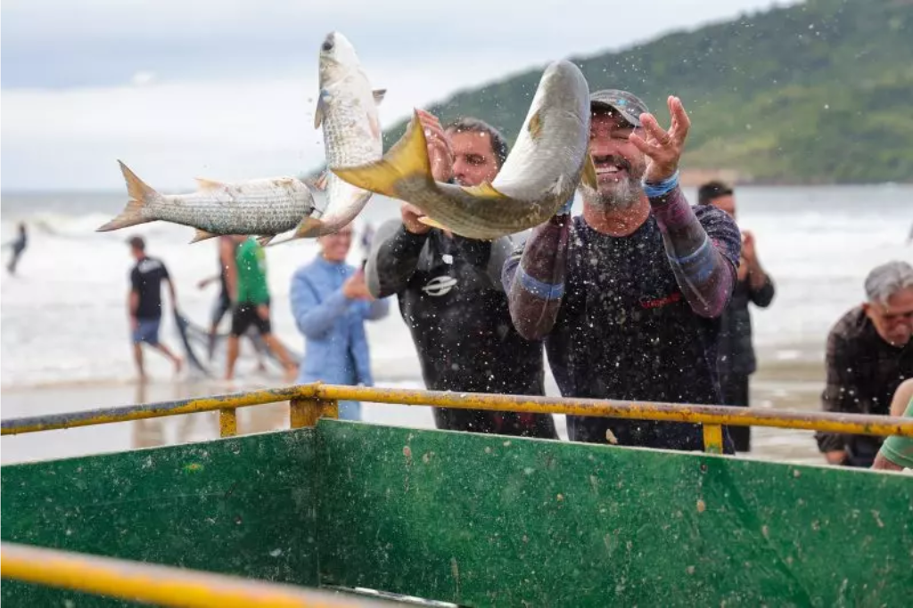 Aberto edital para pesca da tainha 2025