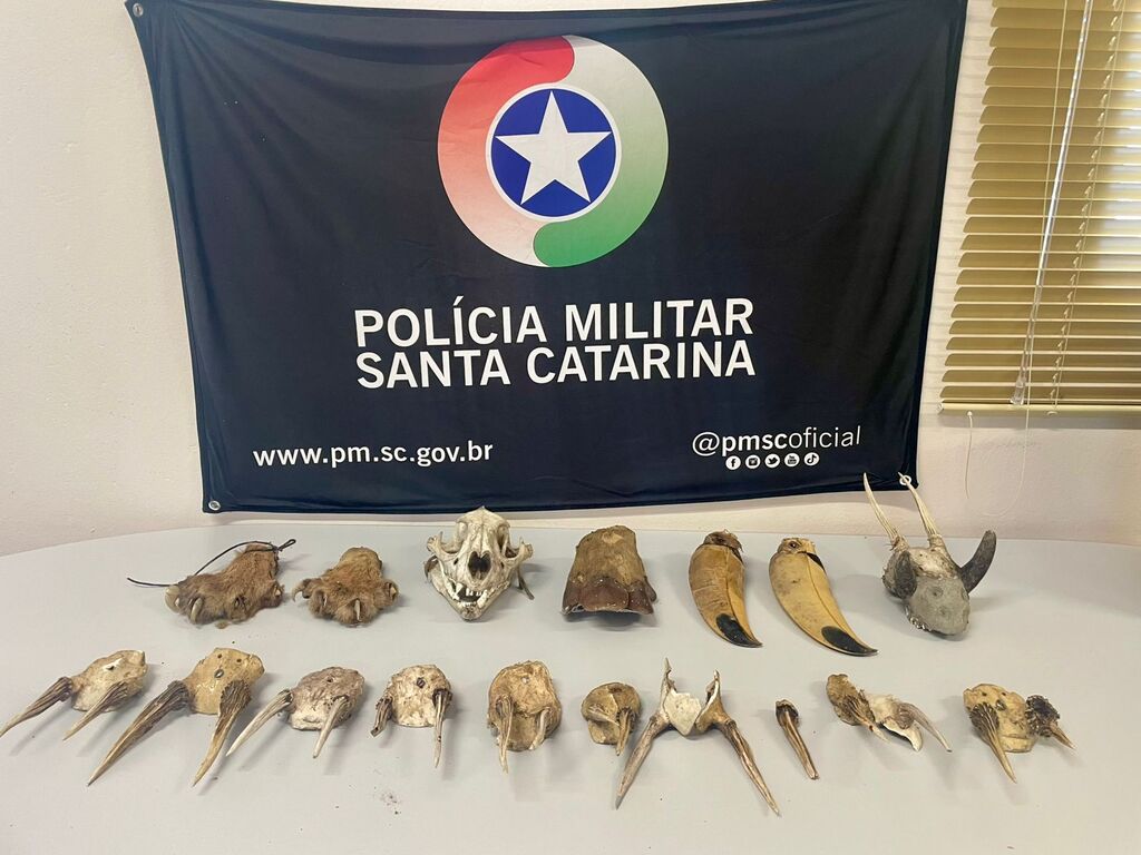 Aves silvestres são resgatadas de cativeiro em Lages