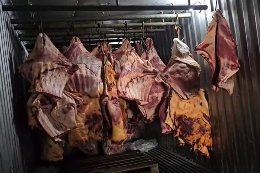 Imagem divulgação - Operação Carne Fraca: quadrilha revendeu 800 toneladas de carne imprópria que estava submersa na enchente do RS