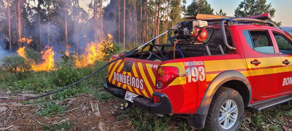 Incêndio em reflorestamento levou mais de 12 horas para ser combatido