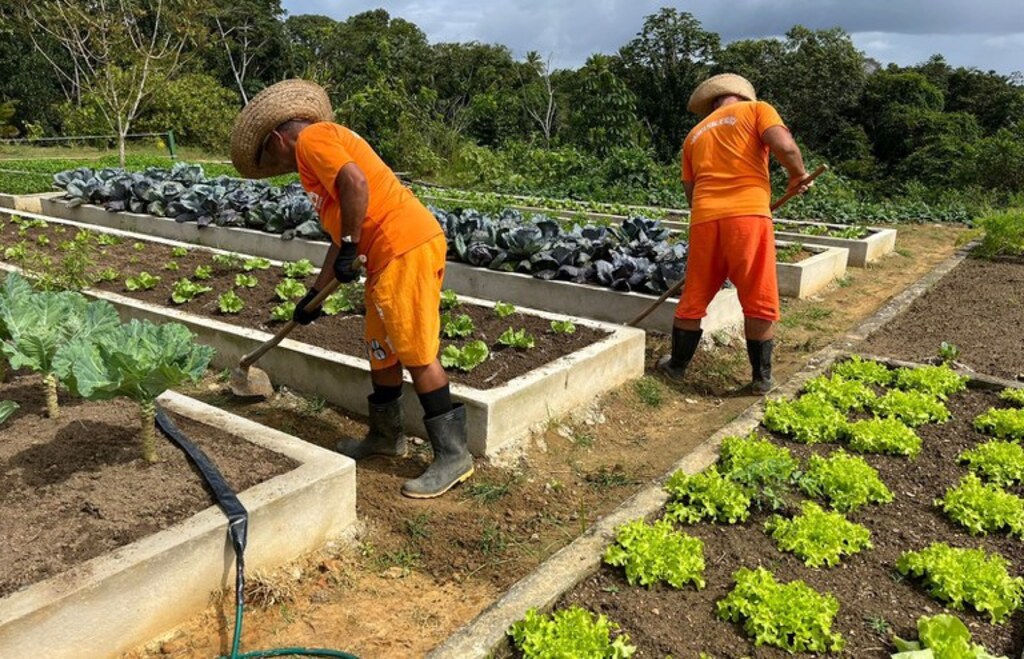 Fábricas produtivas nos presídios receberam R$ 21 milhões