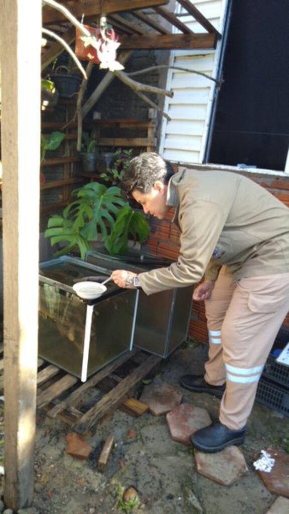 Município tem índice de alerta para a dengue