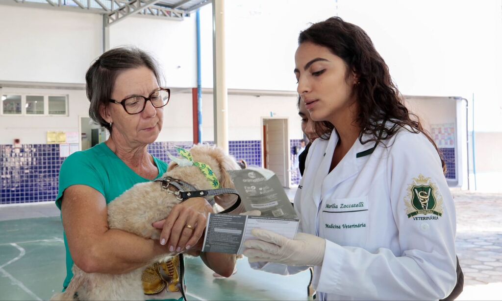 Joinville implanta sistema de cadastro de animais e aumenta número de castrações, microchipagens e adoções