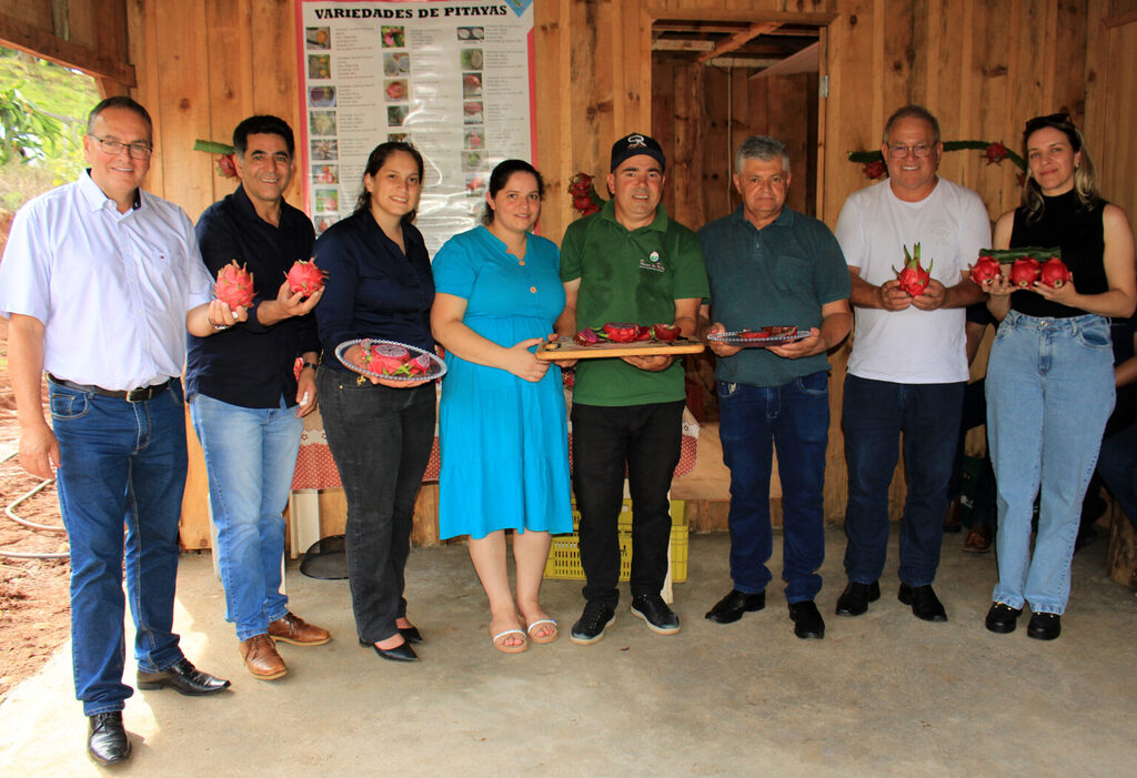 Aberta oficialmente a colheita de pitaya em Cerro Negro