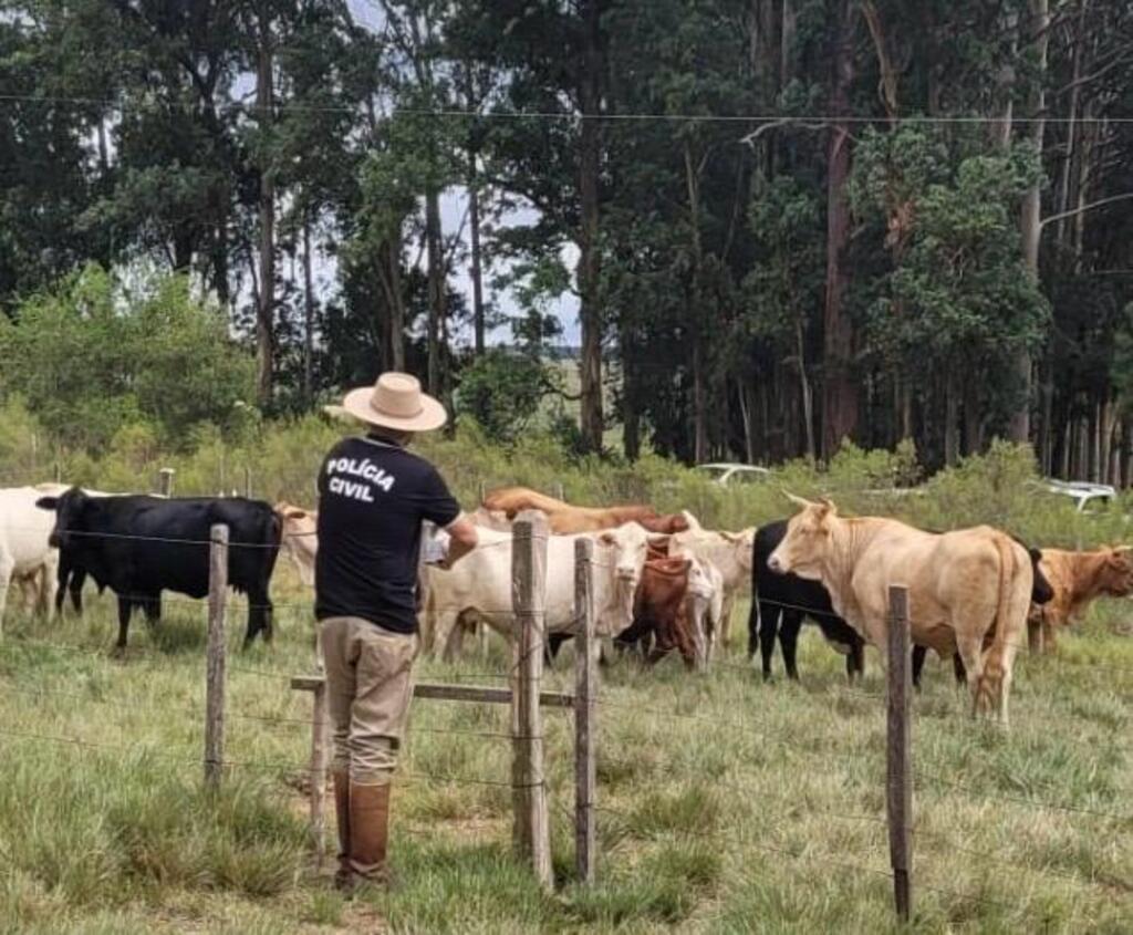 Homem não apresenta documentos e animais são apreendidos