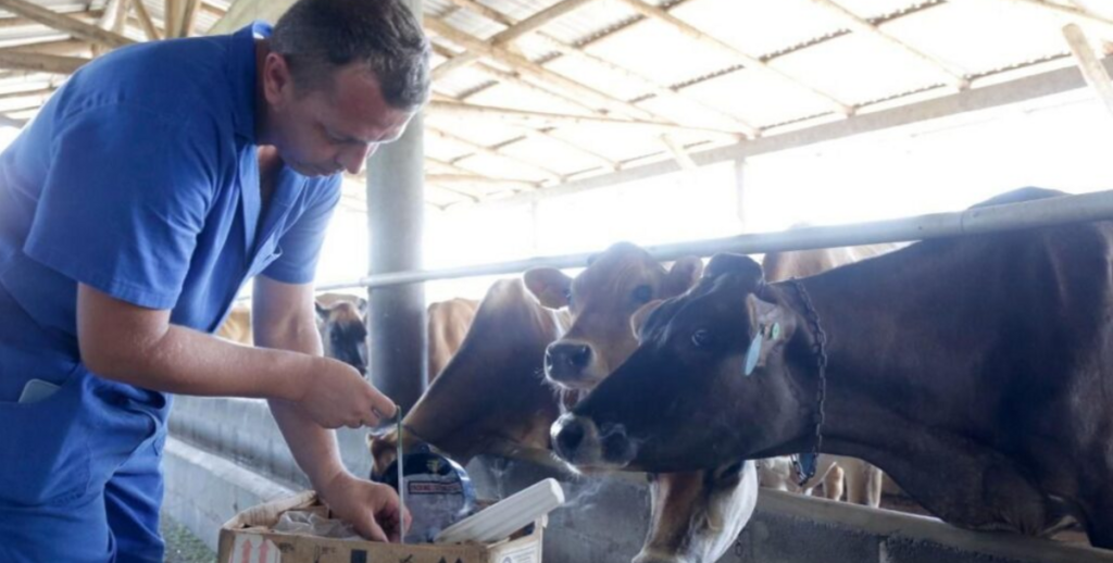 Cursos gratuitos para produtores rurais são oferecidos em Joinville