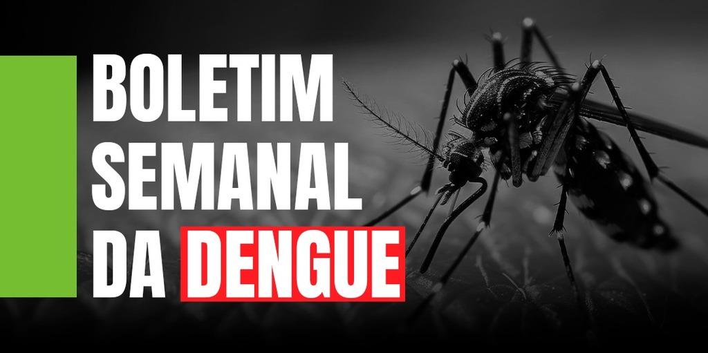 Santa Catarina registra mais de 3 mil casos prováveis de dengue em janeiro