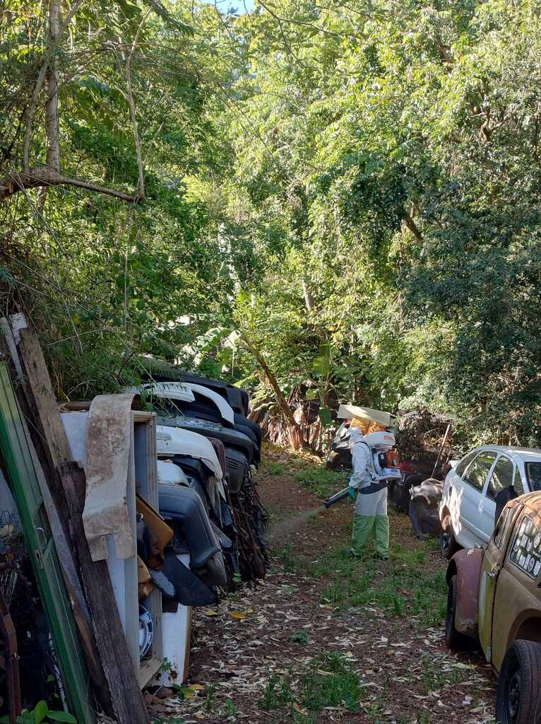  - IMAGENS DIVULGAÇÃO