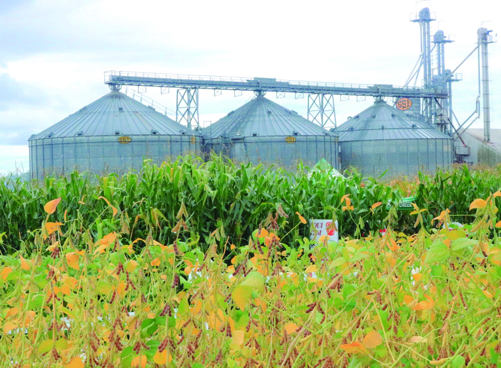 Dias de campo Coocam inicia neste sábado