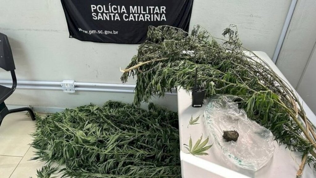  - IMAGEM DIVULGAÇÃO