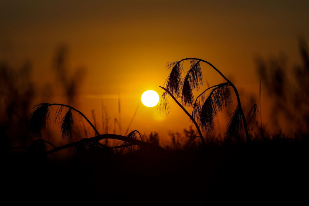 Região enfrenta onda de calor e registra temperaturas extremas